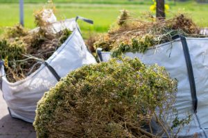 green waste