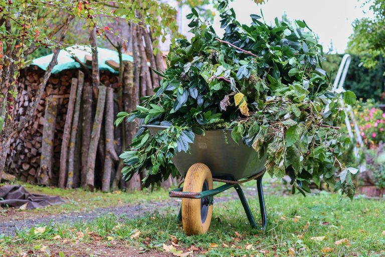 wheelbarrows, wheelbarrow, green cut, tree cuts, branches, collect, charge, gardening, garden, transport, work, cart, wheel, gardening equipment, working device, fall, metal, transport trolley, tire, nature, construction site, drive away, outdoors, quitting time, driven, abandoned