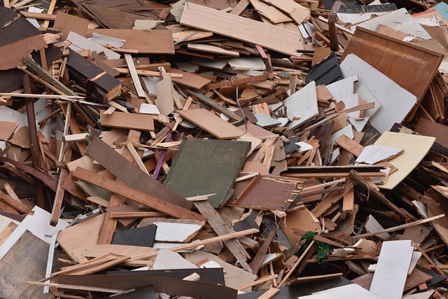 wood waste, waste, wood, scrap, garbage, wood waste, wood waste, wood waste, wood waste, wood waste